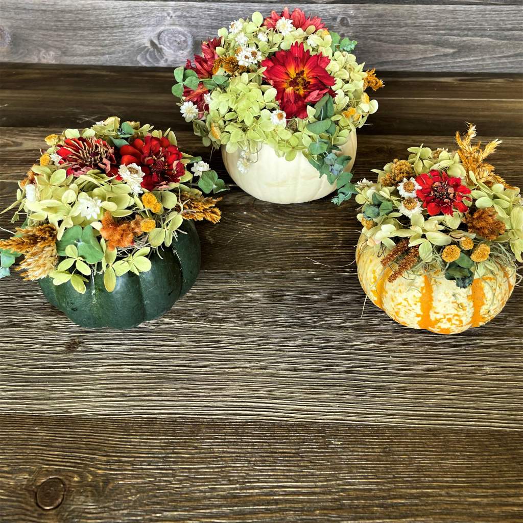 Dried Flower Pumpkins/Gourds